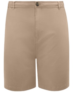 D555 Spencer 2 Stretch-Shorts mit durchgehend elastischem Bund, Stein